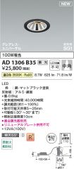AD1306B35