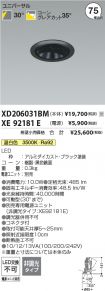 XD206031BM