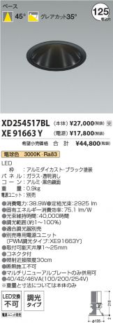 XD254517BL-XE91663Y