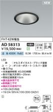 AD58313