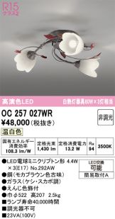 OC257027WR