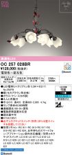 OC257028BR