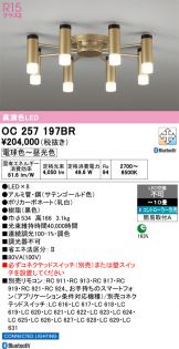 OC257197BR