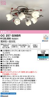 OC257026BR