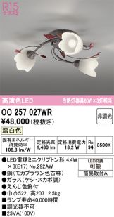 OC257027WR