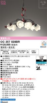 OC257028BR