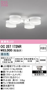 OC257172NR