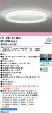 OL291601BR