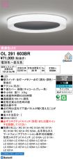 OL291603BR