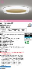OL291608BR