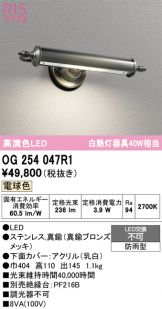 OG254047R1