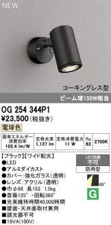 OG254344P1