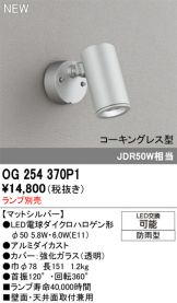 OG254370P1