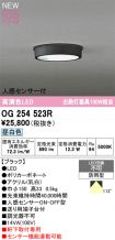 OG254523R