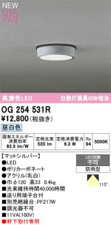 OG254531R
