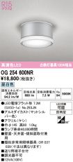 OG254600NR