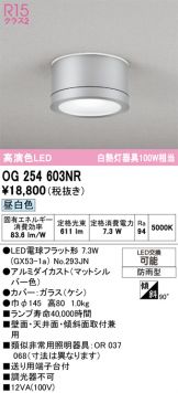 OG254603NR