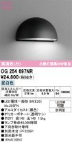 OG254697NR