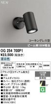 OG254700P1