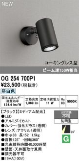 OG254700P1