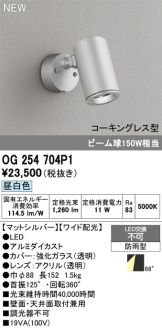 OG254704P1