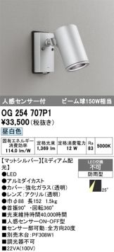 OG254707P1