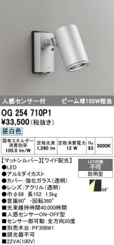 OG254710P1