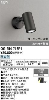 OG254716P1