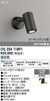 OG254719P1