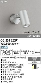 OG254720P1