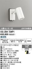OG254724P1