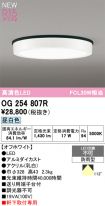 OG254807R