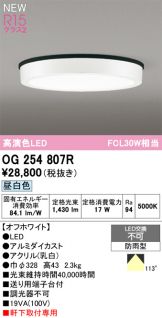 OG254807R