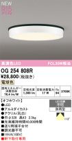 OG254808R