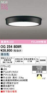OG254809R