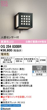 OG254830BR