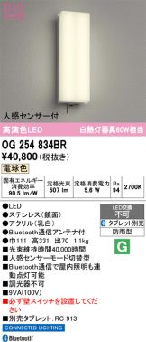 OG254834BR