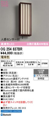 OG254837BR