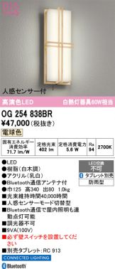 OG254838BR