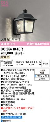 OG254844BR