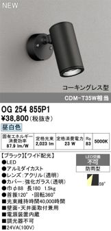 OG254855P1