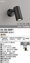 OG254856P1