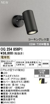 OG254856P1