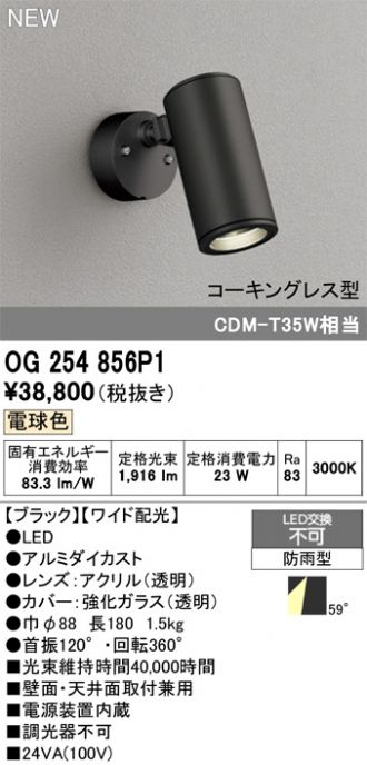 OG254856P1