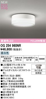 OG254960NR