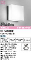 OG254980NCR