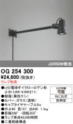 OG254300