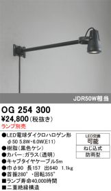 OG254300