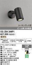 OG254344P1