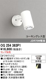 OG254363P1